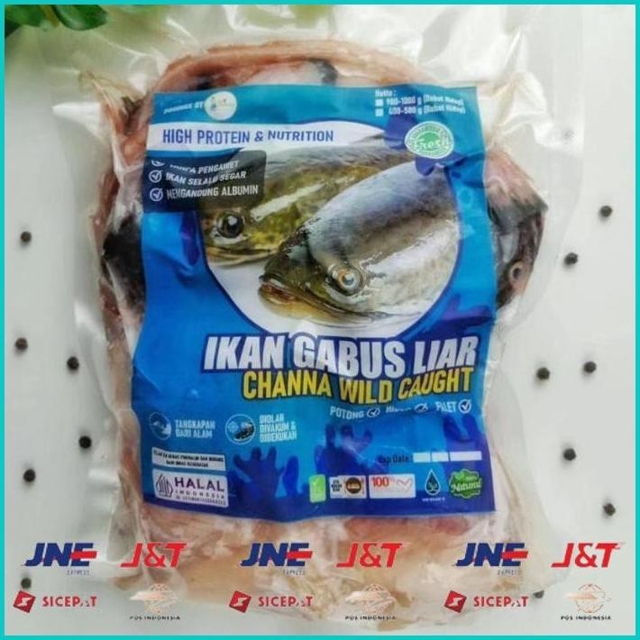 

BISMILLAH IKAN GABUS LIAR BY PURE ORGANIC | CHANNA WILD CAUGHT | HIGIENIS | TANPA PENGAWET | TANPA FORMALIN ALISUP