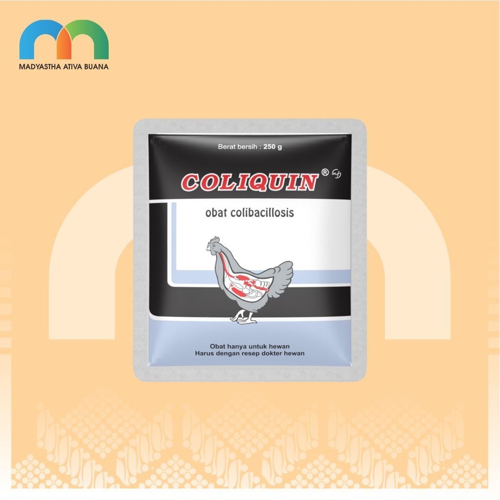 Coliquin 250 gr NF Medion Obat Sistem Pernafasan Ayam