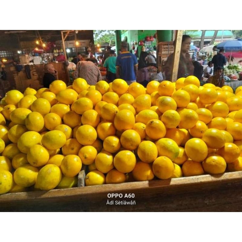 

Jeruk Lemon Besar