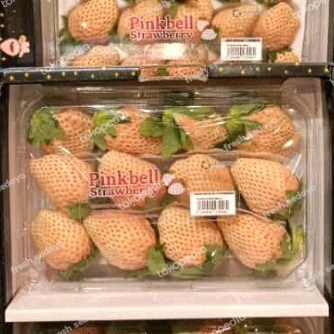

strawberry pinkbell Korea 350gr strawberry warna pink manis exotic K02