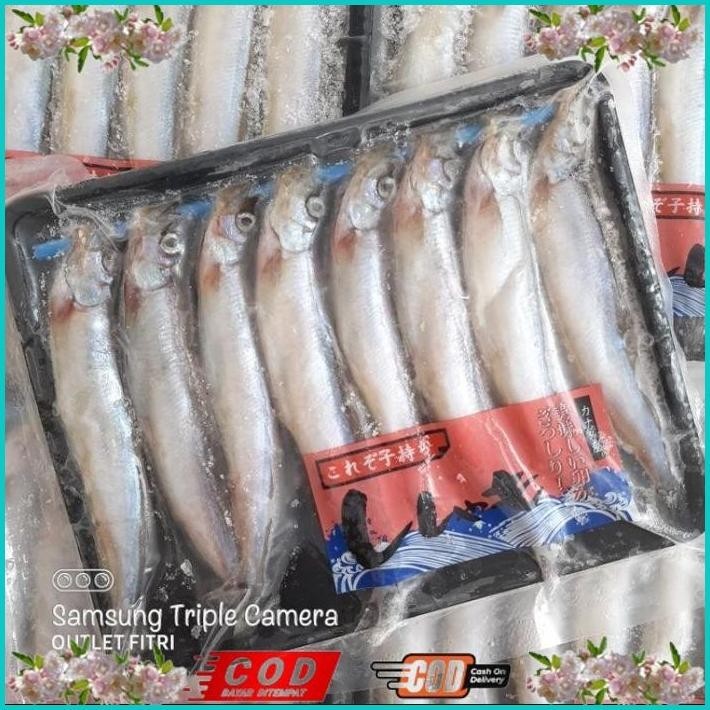

BISMILLAH IKAN SHISAMO FULL TELUR (FEMALE) - IKAN CIPUNG - IKAN CAPELIN ALISUP