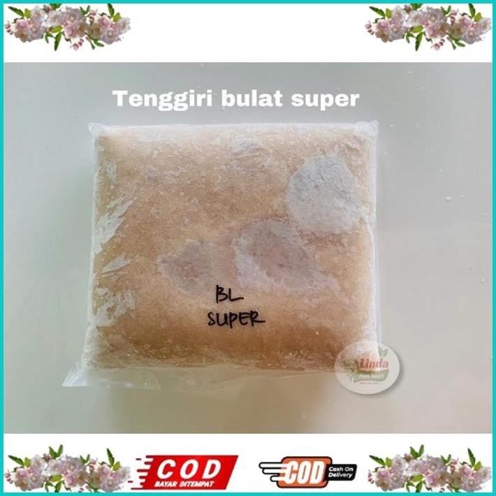 

BISMILLAH IKAN GILING TENGGIRI SUPER (BULAT/JANTAN) ALISUP