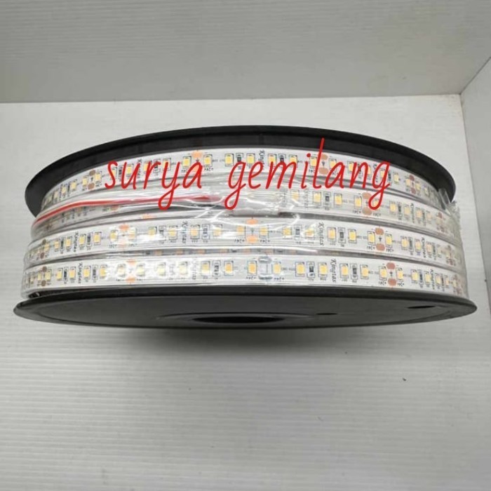 Lampu Led Selang Kolam Kingtas 12V 24V. Lampu Selang Kolam Ip68 Dc 12V 24V Lampu