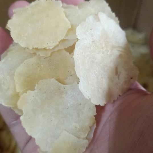 

Emping Ceplis Melinjo 1 Kg Kilo Kulon Banten Tipis Mekar Terbaik - 4-5 Melinjo