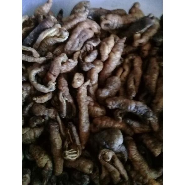 

fgh-56 keripik teripang matang 500 grm harga grosir Berkualitas