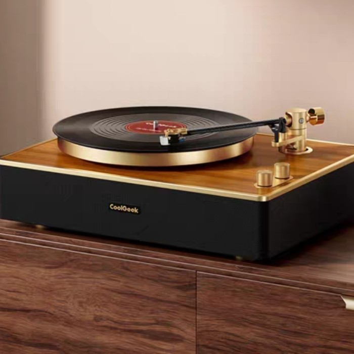 Merli Coolgeek Vinyl Player Bluetooth Supported Turntable Player