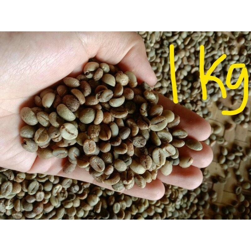 

Kopi Biji Robusta Toraja - mamasa Original