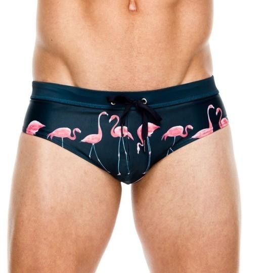 Celana Renang Pria Brief Flango