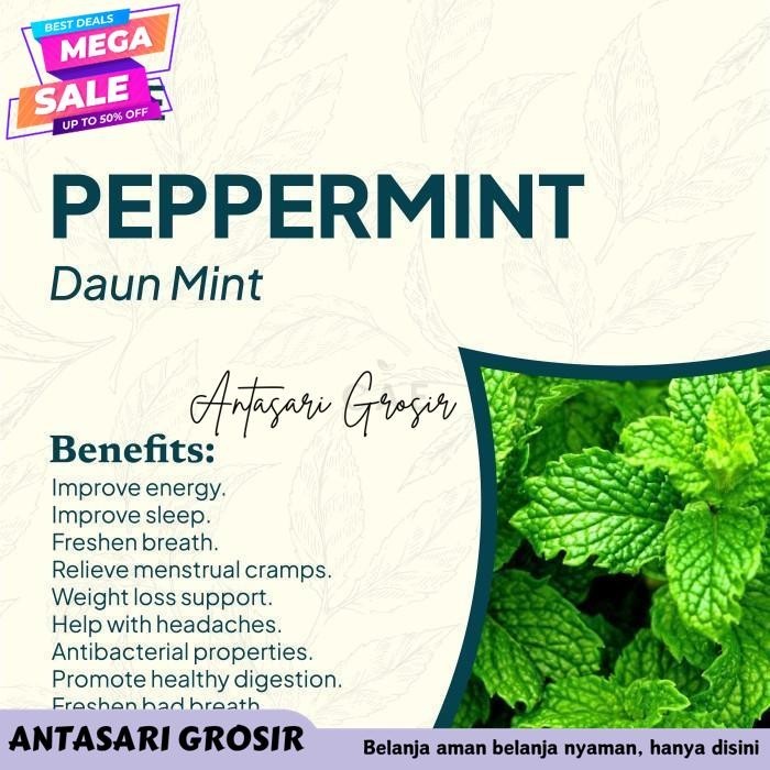 

PEPPERMINT 10 TEA BAGS TEH PEPPERMINT HERBAL DRIED KERING ALAMI 100% TERBAIK!!!!