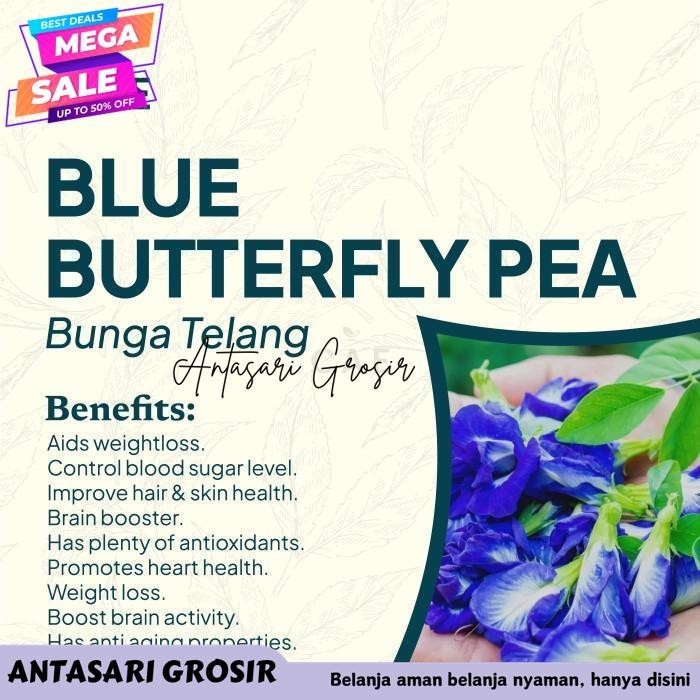 

BUTTERFLY PEA 10 TEA BAGS TEH BUNGA TELANG HERBAL DRIED KERING ALAMI TERBAIK!!