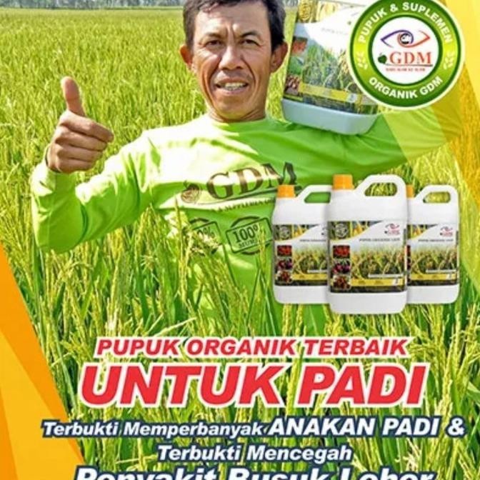 Pupuk Organik Cair GDM pangan untuk PADI - 1 liter