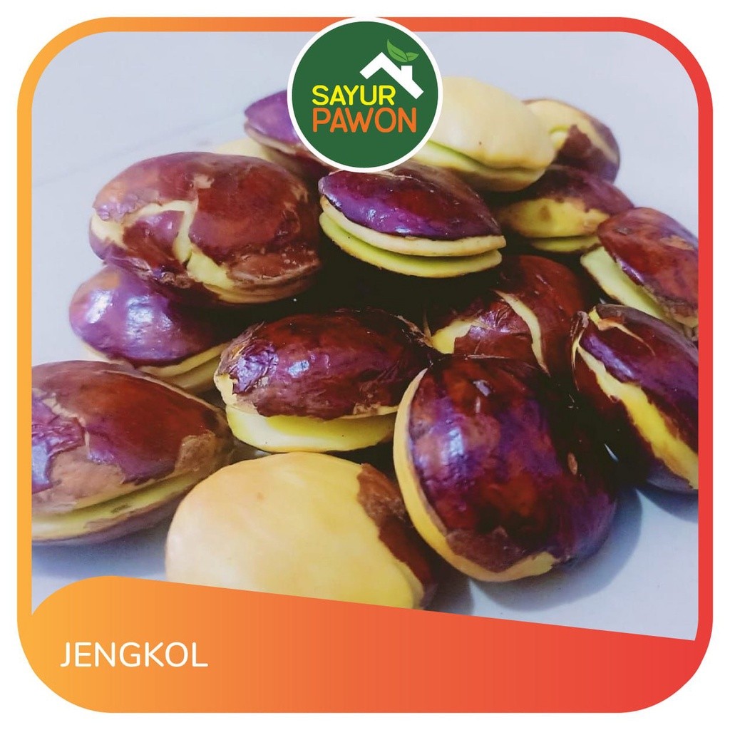 

Jengkol per 250gr