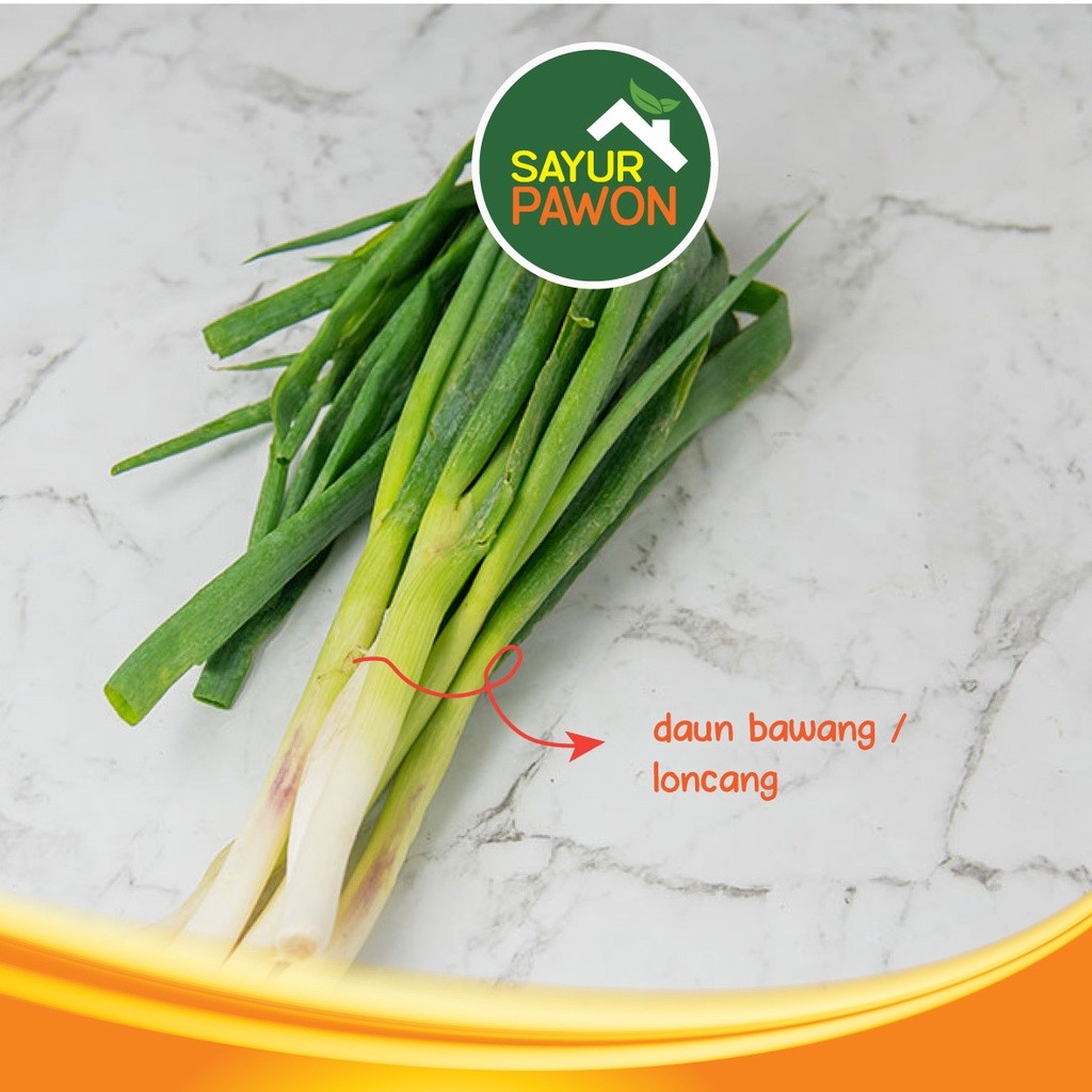 

DAUN BAWANG / PREI / LONCANG Fresh Lokal [per ikat]