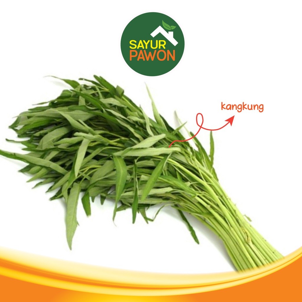 

KANGKUNG SEGAR [per ikat]