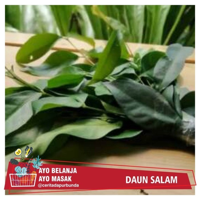 

DAUN SALAM per bungkus