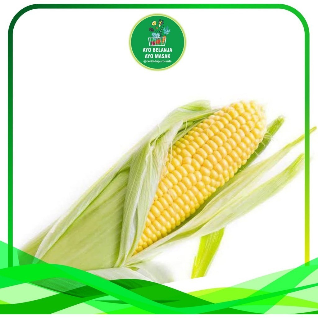 

Jagung Manis per satuan / per pcs (Ecopack)