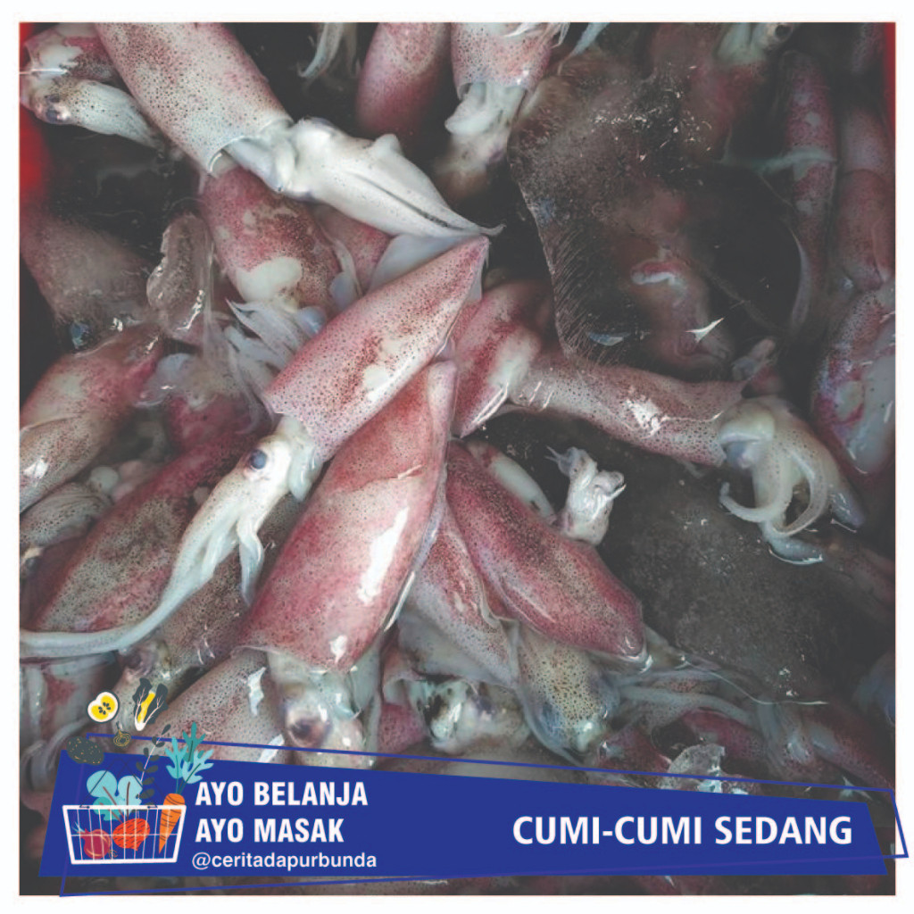 

CUMI-CUMI SEDANG SEGAR Per 250 gram