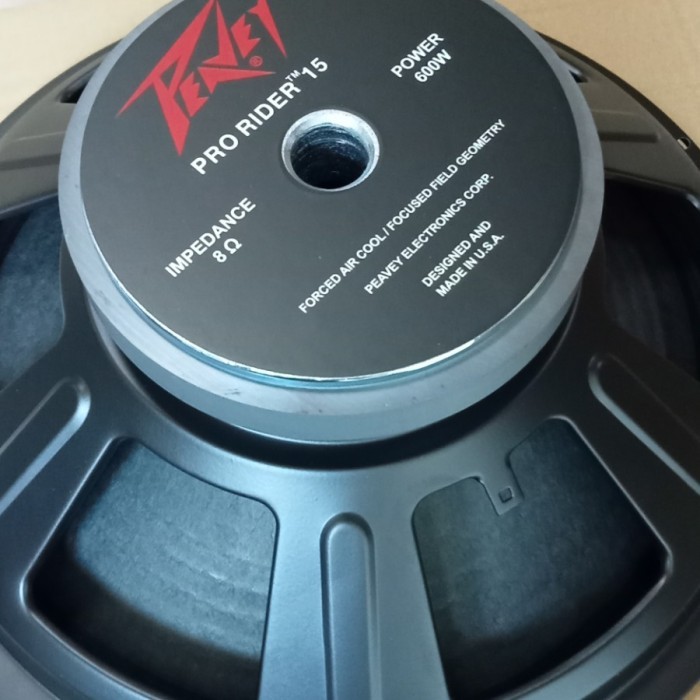 SPEAKER 15 INCH PEAVEY PRO RIDER