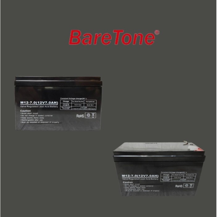 10 HE/ 10HE AKI SPEAKER BARETONE