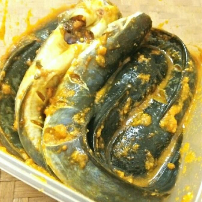

Ikan Lele Bumbu Kuning Siap Masak - 1 Kilogram [Terlaris] [Terbaru]