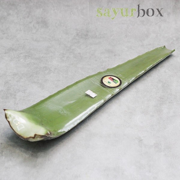 

Aloe Vera Organik Organik 1 pcs Sayurbox