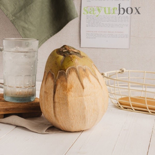 

Kelapa Kopyor Konvensional 1 pcs Sayurbox