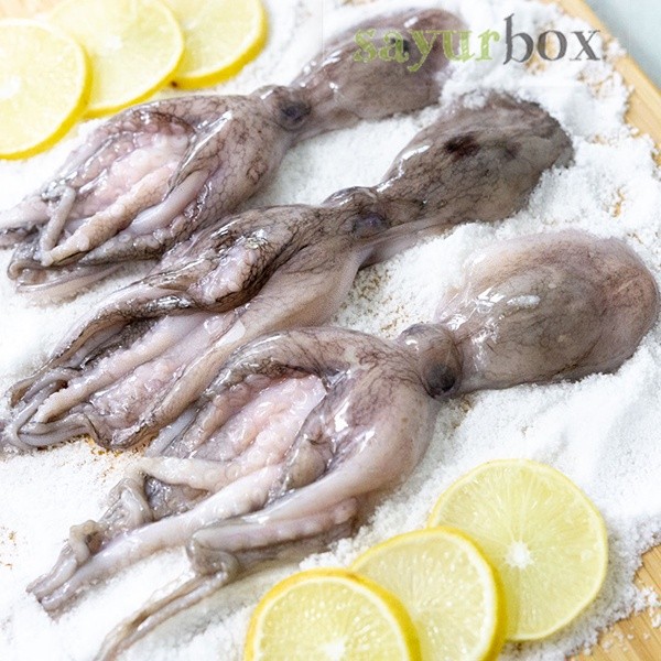 

Golden Seafood Baby Octopus 200 gram Sayurbox