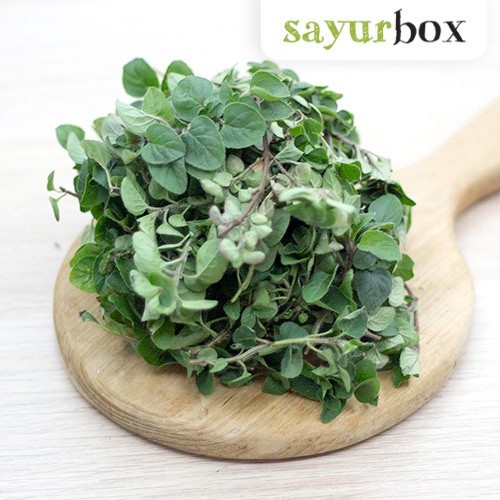 

Oregano Konvensional 35 gram Sayurbox