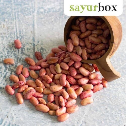 

Kacang Merah Konvensional 1 kg Sayurbox