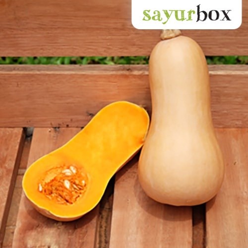 

Labu Butternut Organik Organik 1 pcs Sayurbox