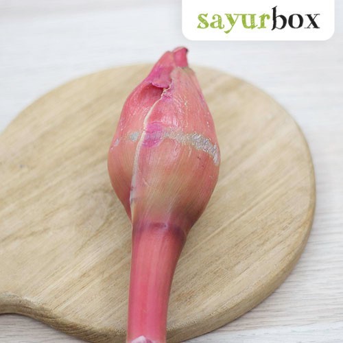 

Kecombrang Konvensional 250 gram Sayurbox