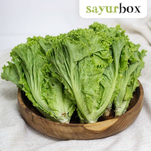 

Selada Keriting Konvensional 1 kg Sayurbox