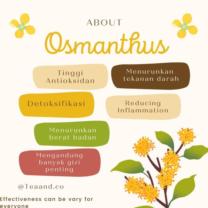 

READY STOCK TEH BUNGA OSMANTHUS ORGANIK FLOWER TEA SWEET OSMANTHUS ORGANIC KERING !!!!!