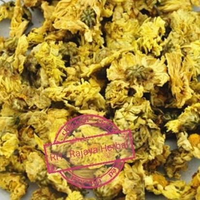 

BIG SALE CHRYSANTEMUM YELLOW BUNGA TEH KEMBANG !!!!!