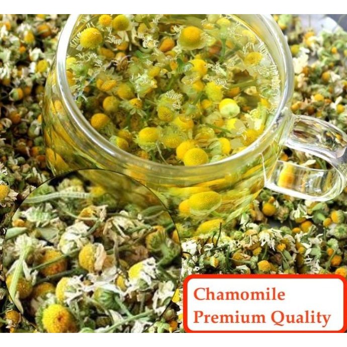 

READY STOCK BUNGA CHAMOMILE KERING | GERMAN CHAMOMILE | WANGI TIDAK PAHIT 50 GRAM !!!!!