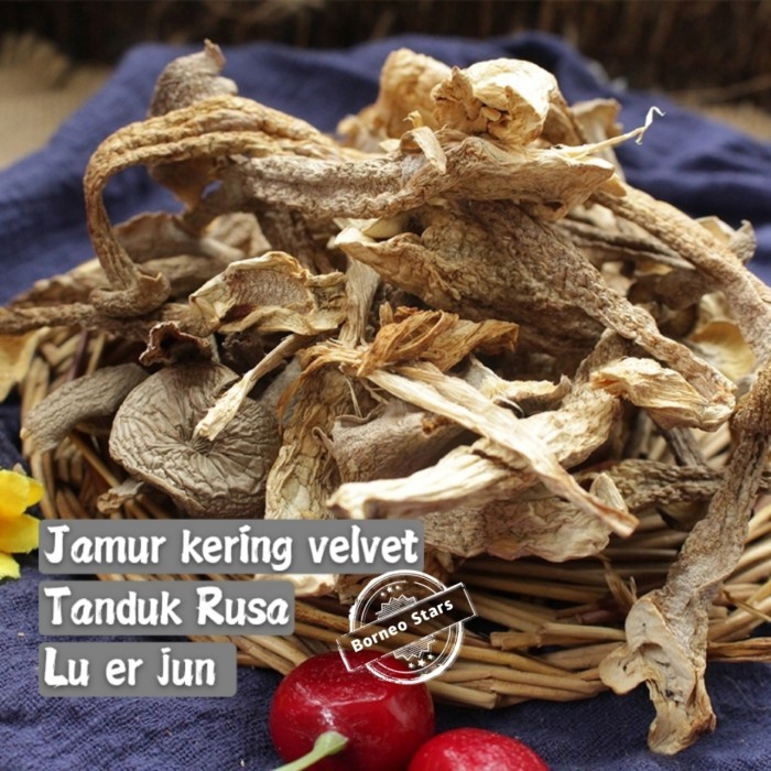 

Ready Velvet Mushroom Jamur Tanduk Rusa