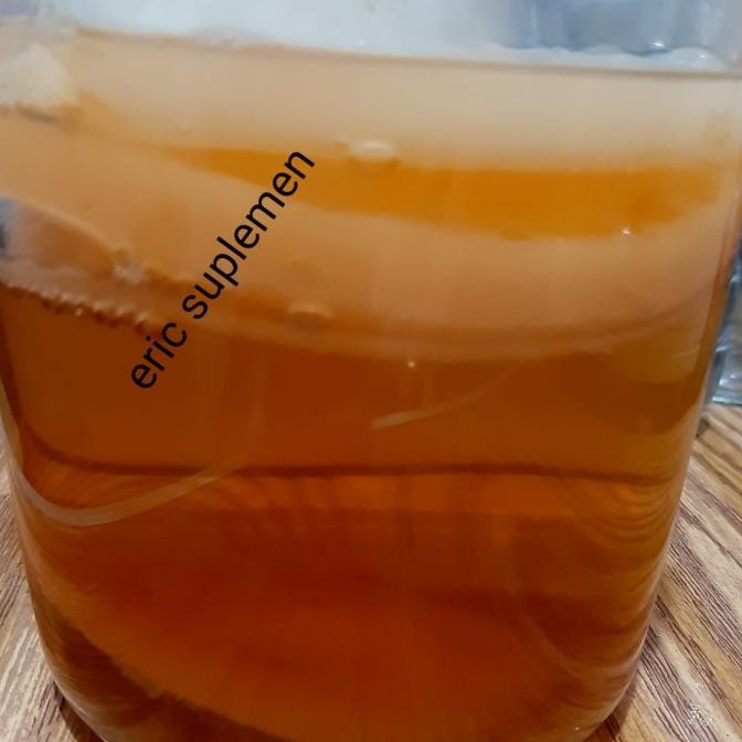 

BIG SALE SCOBY JUN TEA PREMIUM !!!!!