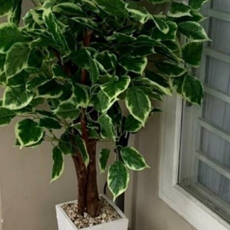 Pohon Sinfu/Pohon Hias Artificial/Pohon Plastik/Bunga Plastik