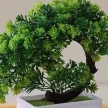 Pohon Bonsai/Bonsai Plastik/Bonsai /Bunga Hias/Bunga Plastik