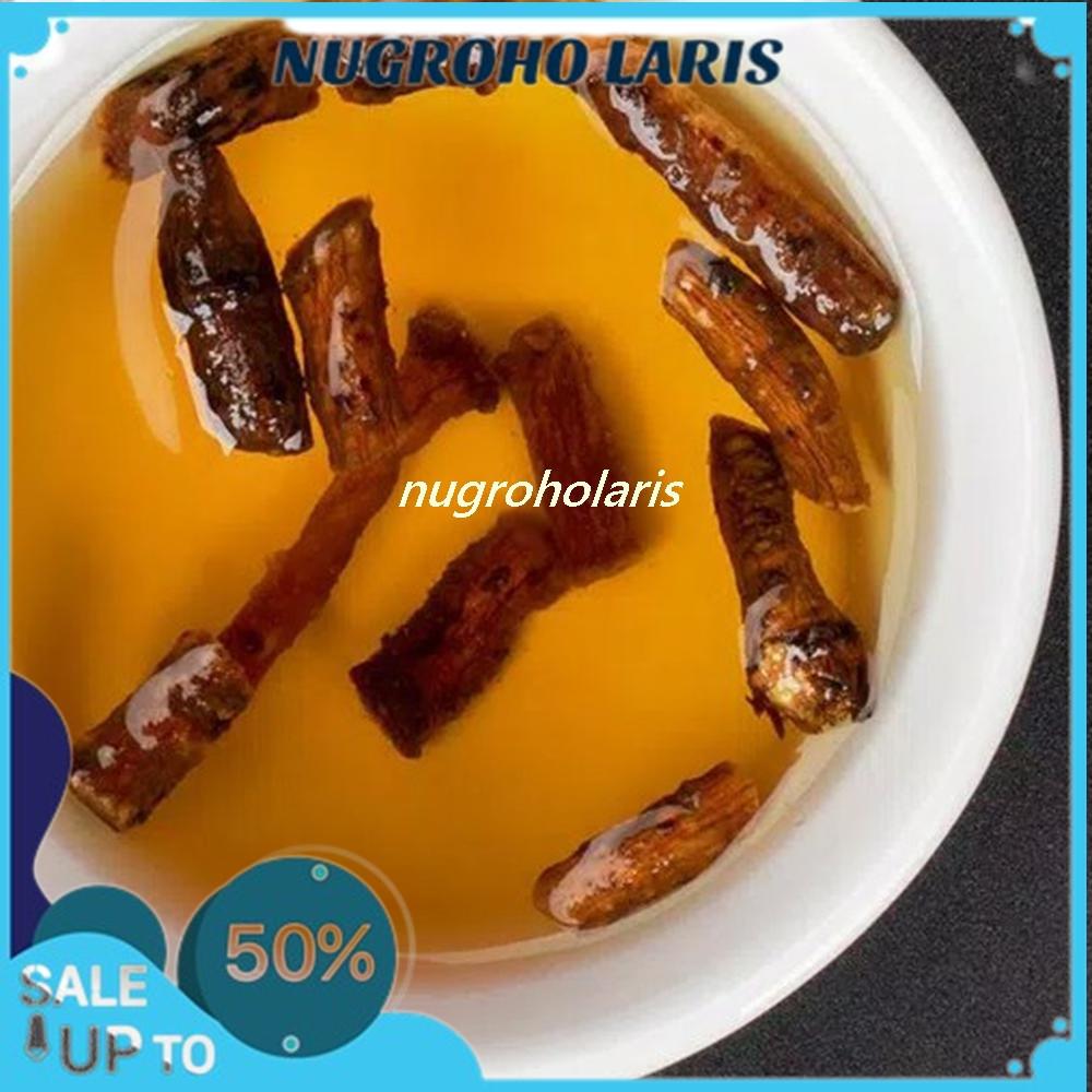 

AKAR DANDELION / AKAR DANDELION KERING / DRIED DANDELION ROOT / AKAR DANDELION BERKUALITAS TERBARU !!