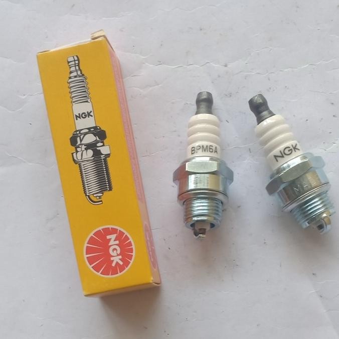 (:(:(:(] Busi potong rumput NGK BPM6A