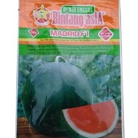 TERMURAH - Benih semangka MADRID F1 20 gram bulat non biji bintang asia