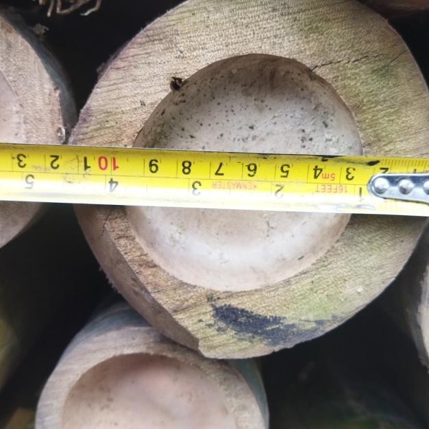 Bambu Gombong Lebar 9-12 cm Panjang 6 Meter