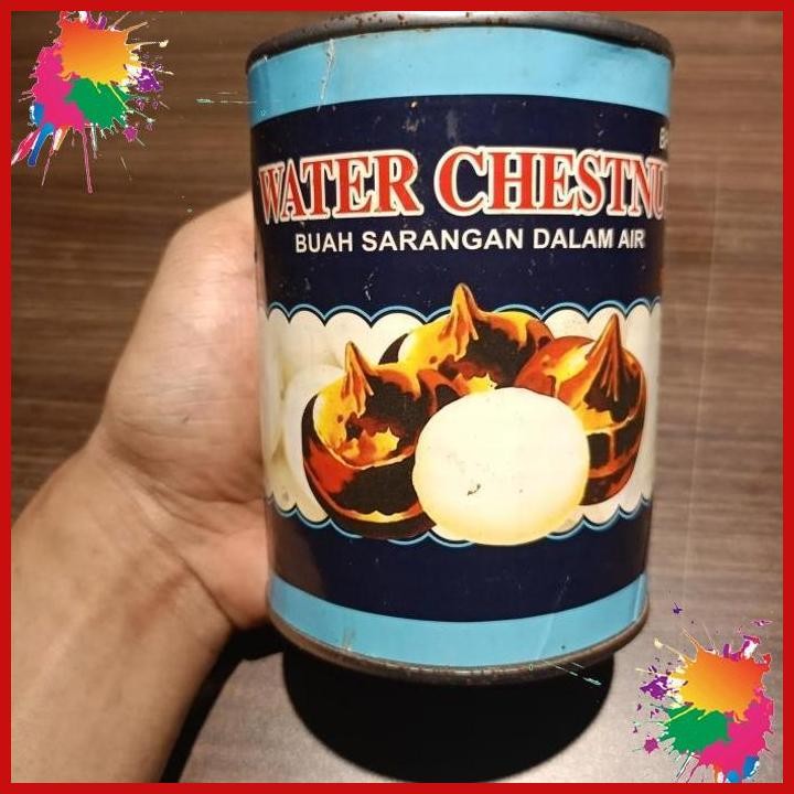 

(LJG) WATER CHESTNUT BUAH SARANGAN KALENG RED BOAT BRAND 567GR