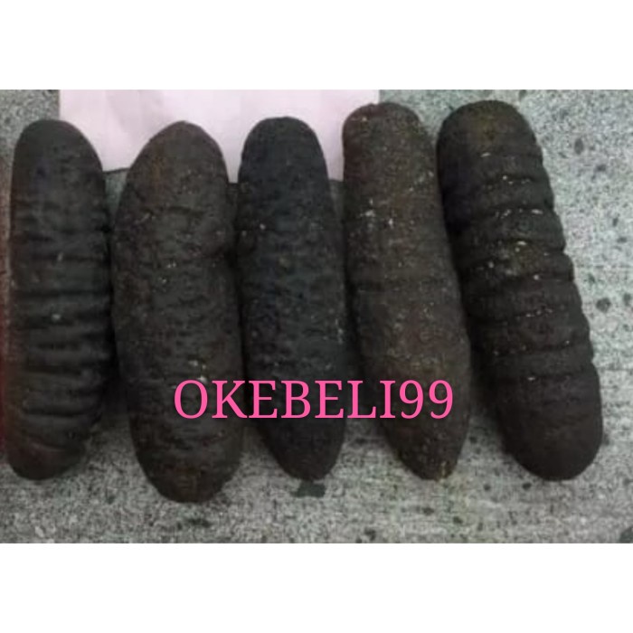 

Teripang Gosok Hoisom / 1 Kg Bestseller Daging