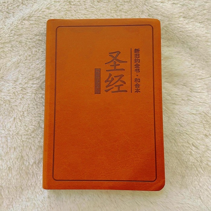 ALKITAB MANDARIN SIMPLIFIED EDISI HURUF BESAR