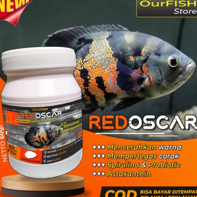 ✦Terlaku.➝ Red Oscar - Pelet Oscar Premium Tiger Albino Batik 078 ✸