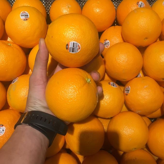 

jeruk sunkist nevel australia / jeruk peras kg