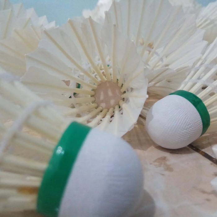 Shuttlecock Polos Premium
