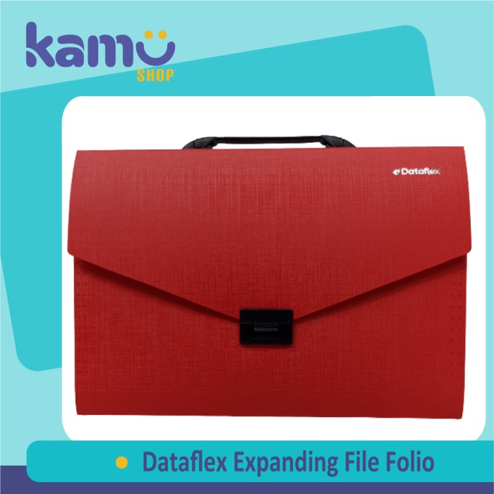 

Dataflex Expanding File Folio DF-231